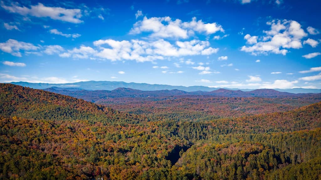 904 Raccoon Road, Blue Ridge GA 30513 - Photo