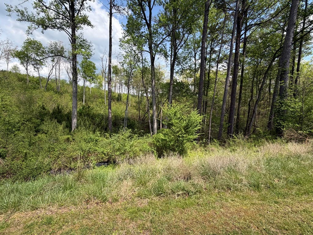 238 Lecroy Drive, Ellijay GA 30540 - Photo