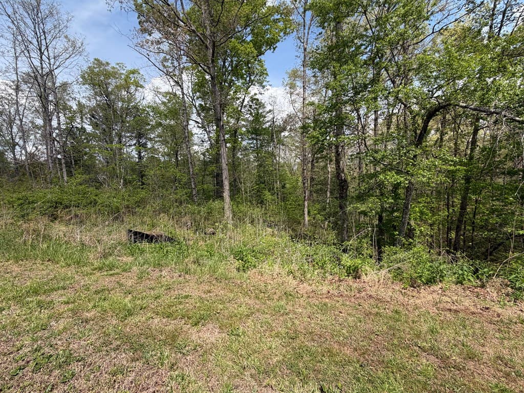 238 Lecroy Drive, Ellijay GA 30540 - Photo