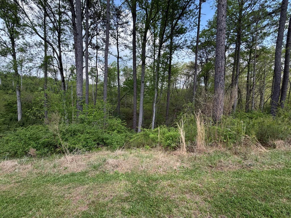 238 Lecroy Drive, Ellijay GA 30540 - Photo
