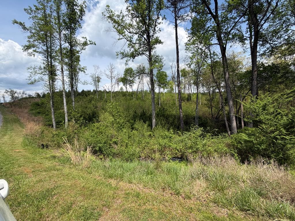 238 Lecroy Drive, Ellijay GA 30540 - Primary photo