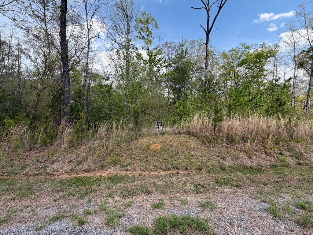 238 Lecroy Drive, Ellijay GA 30540 - Photo