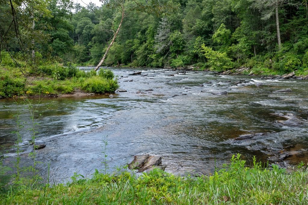 238 Lecroy Drive, Ellijay GA 30540 - Photo