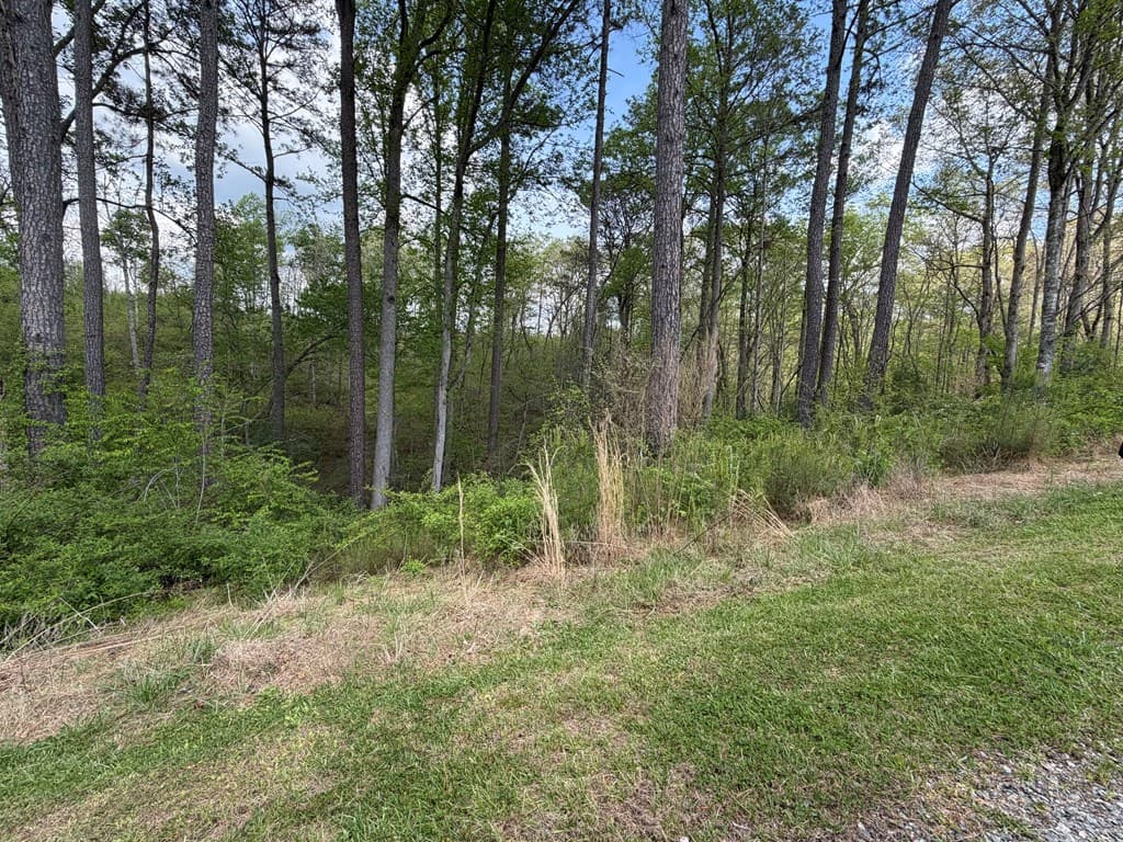 238 Lecroy Drive, Ellijay GA 30540 - Photo