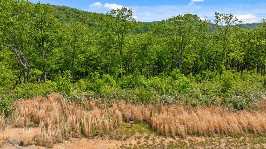 Lot 237 Highgrove Drive, Talking Rock GA 30175 - Photo