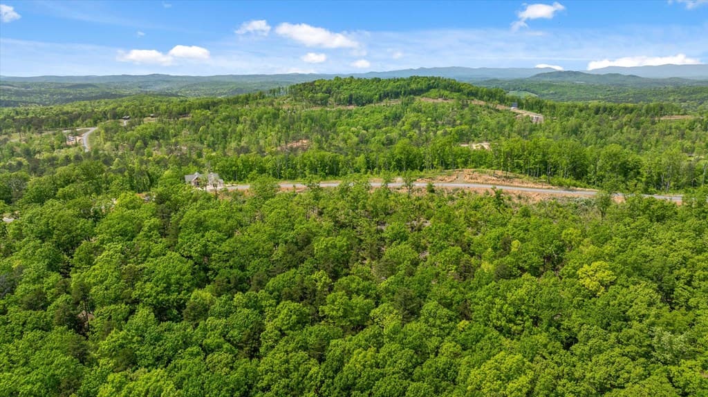 Lot 237 Highgrove Drive, Talking Rock GA 30175 - Photo