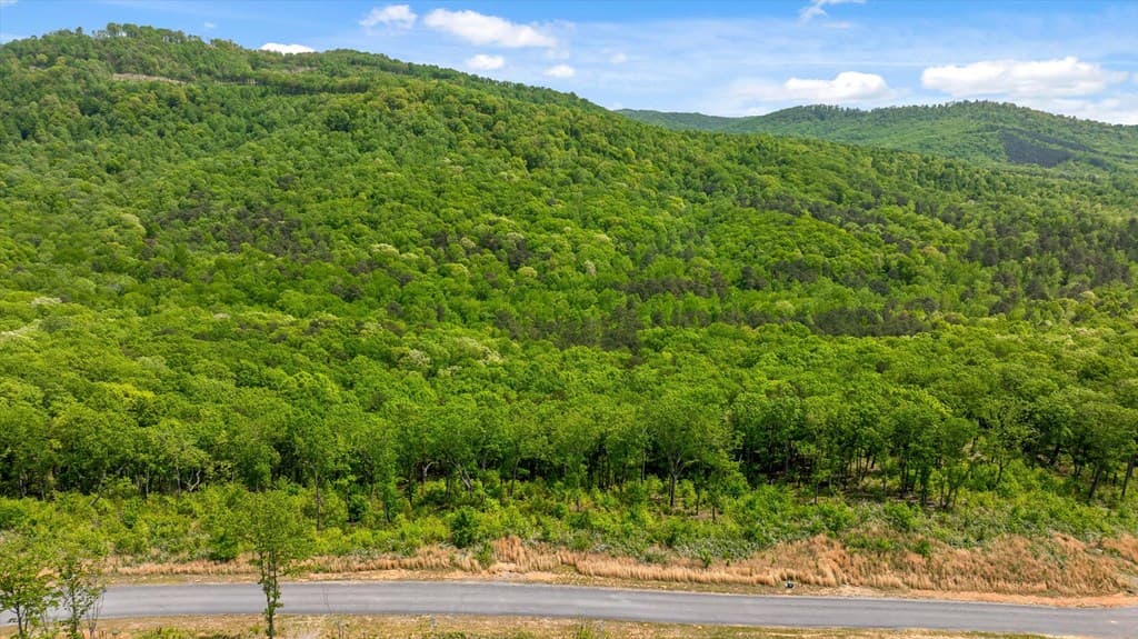 Lot 237 Highgrove Drive, Talking Rock GA 30175 - Photo