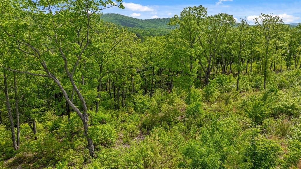 Lot 237 Highgrove Drive, Talking Rock GA 30175 - Photo