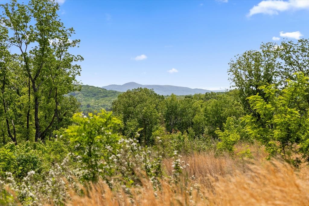 Lot 237 Highgrove Drive, Talking Rock GA 30175 - Primary photo