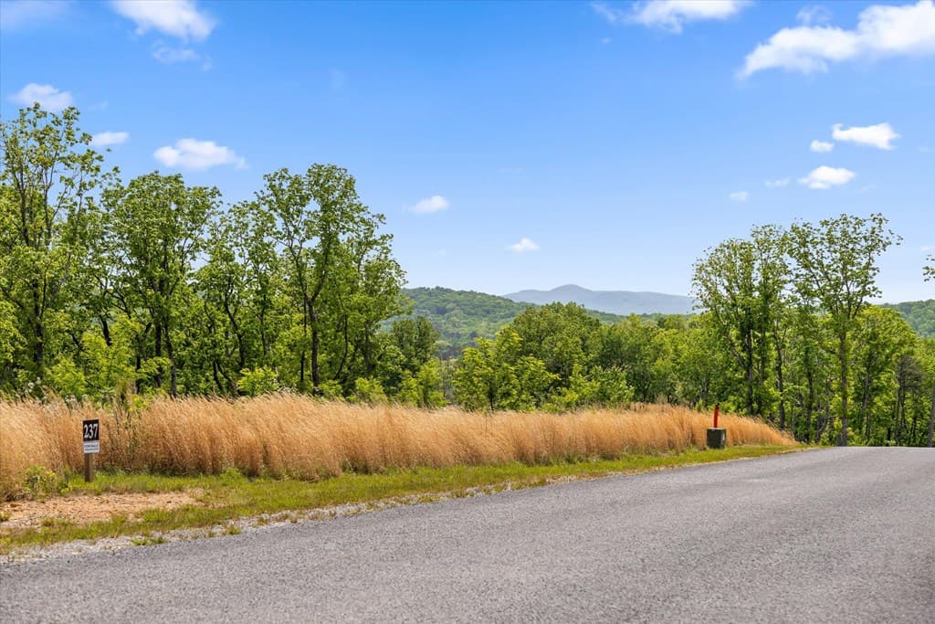 Lot 237 Highgrove Drive, Talking Rock GA 30175 - Photo