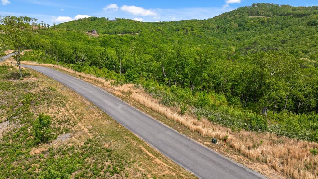 Lot 237 Highgrove Drive, Talking Rock GA 30175 - Photo