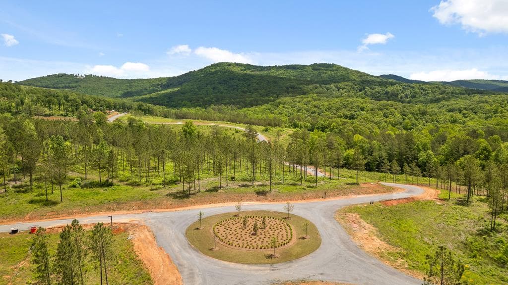 Lot 237 Highgrove Drive, Talking Rock GA 30175 - Photo