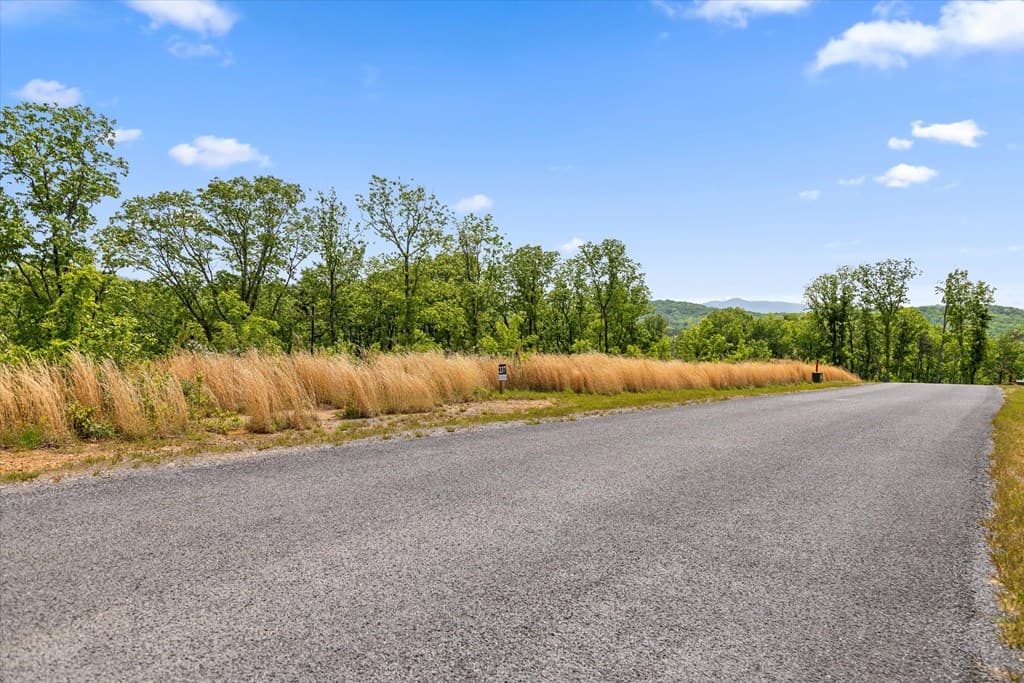 Lot 237 Highgrove Drive, Talking Rock GA 30175 - Photo