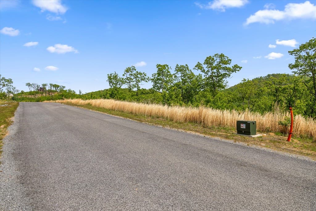 Lot 237 Highgrove Drive, Talking Rock GA 30175 - Photo