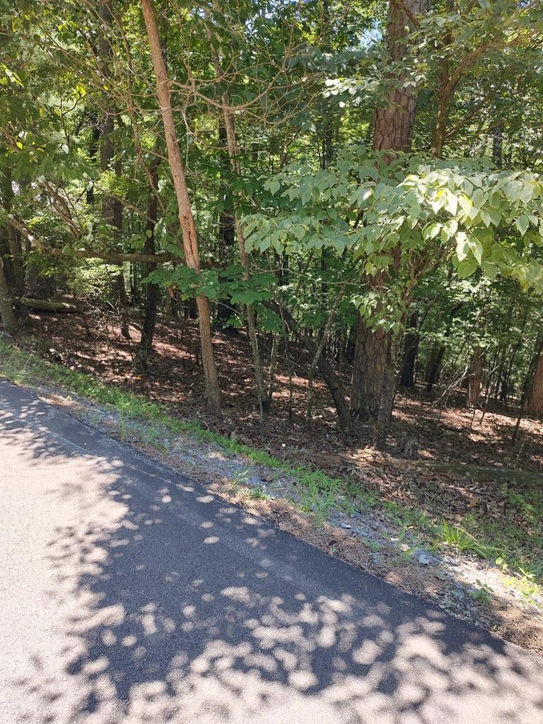 Lot 853 Matrix Lane, Ellijay GA 30540 - Photo