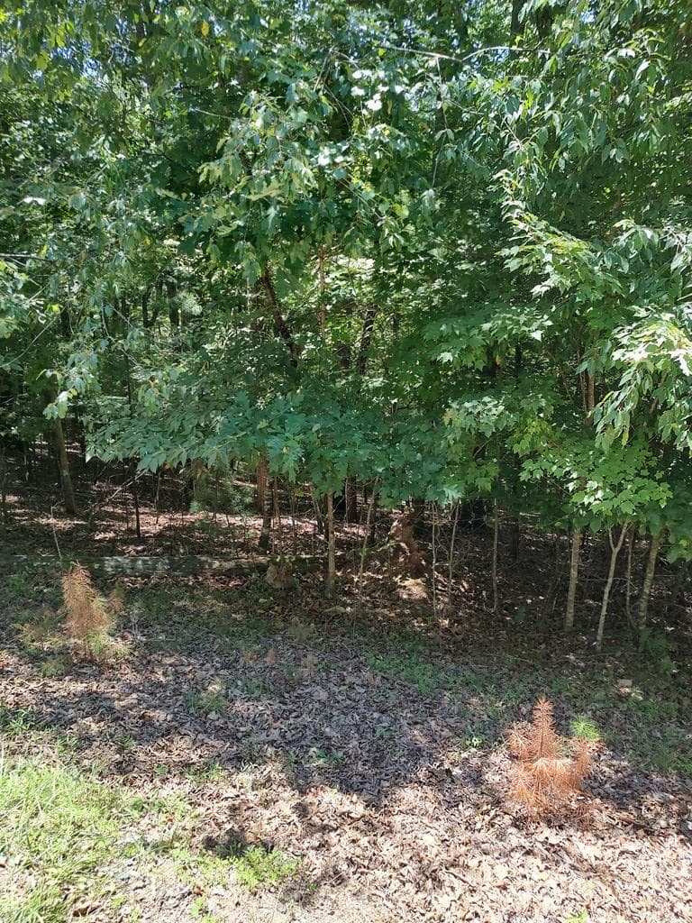 Lot 853 Matrix Lane, Ellijay GA 30540 - Primary photo