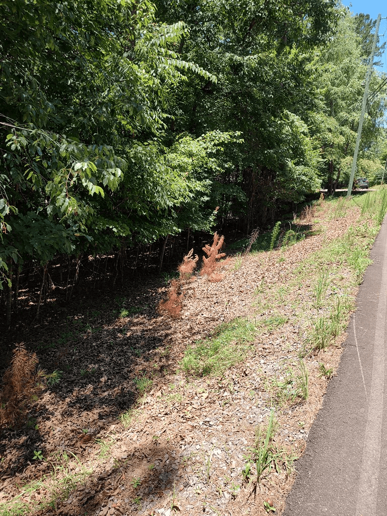 Lot 853 Matrix Lane, Ellijay GA 30540 - Photo