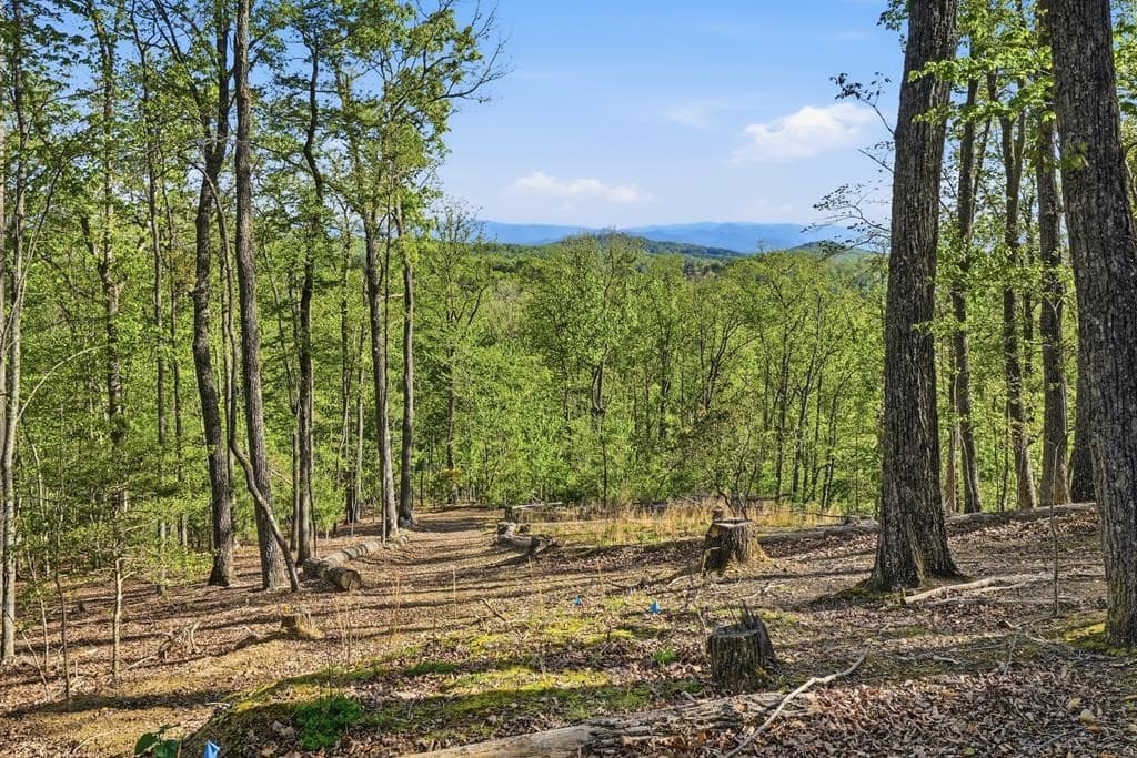 194 Quiet Woods Trail, Murphy NC 28906 - Photo