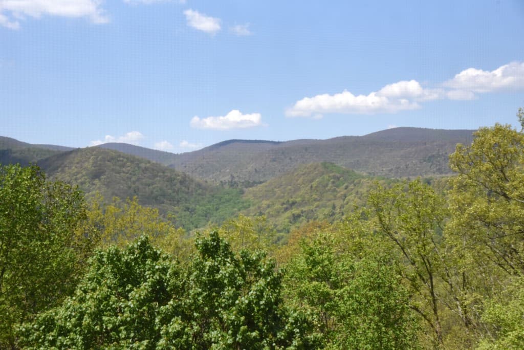 327 Prospectors Pass, Ellijay GA 30536 - Photo