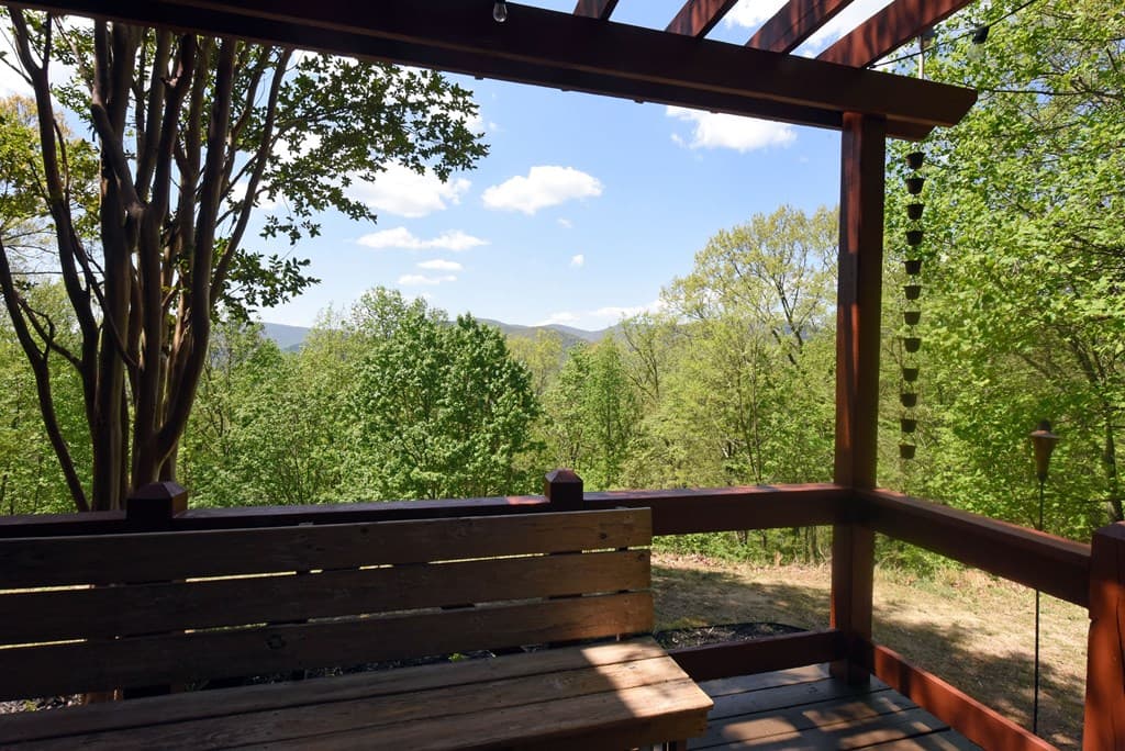 327 Prospectors Pass, Ellijay GA 30536 - Photo