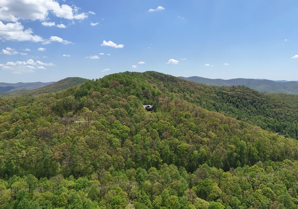 327 Prospectors Pass, Ellijay GA 30536 - Photo