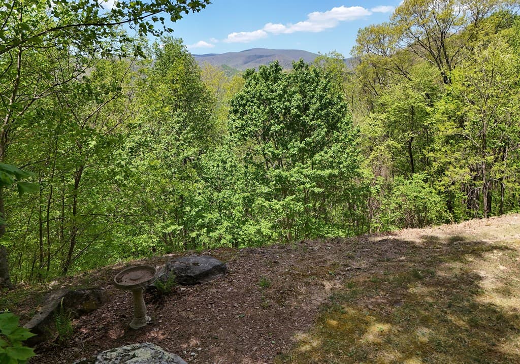 327 Prospectors Pass, Ellijay GA 30536 - Photo