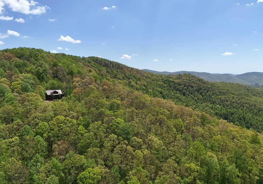 327 Prospectors Pass, Ellijay GA 30536 - Photo