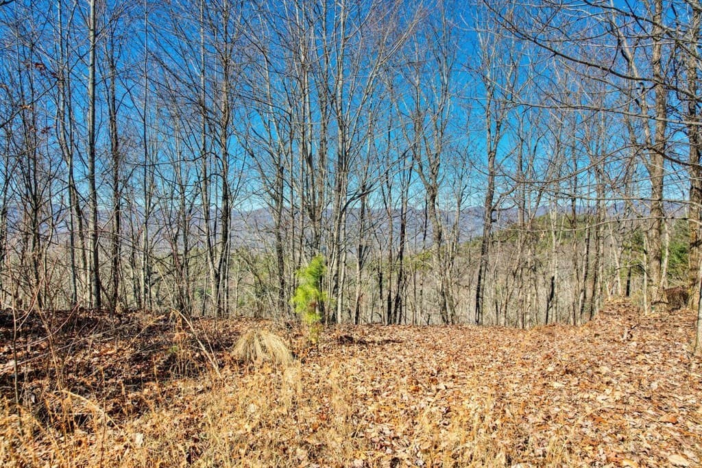 1441 Valley View Heights Lane, Andrews NC 28901 - Photo