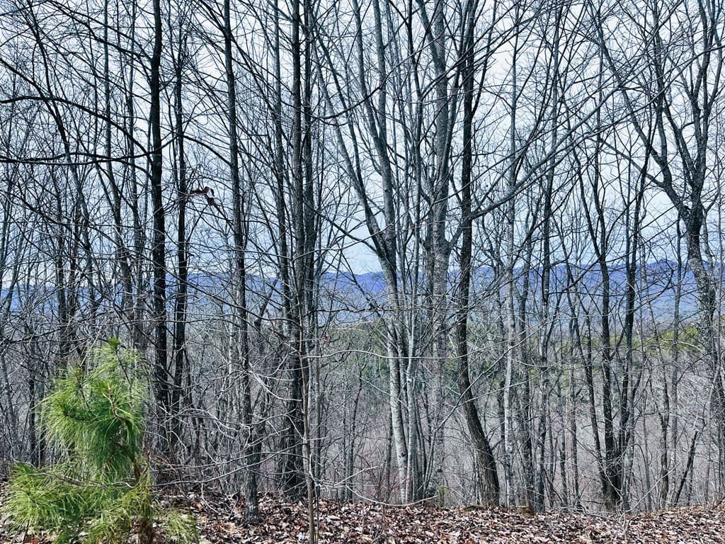 1441 Valley View Heights Lane, Andrews NC 28901 - Photo