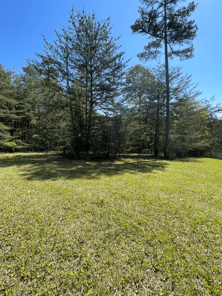 Lot 71A Licklog Ridge, Hayesville NC 28904 - Photo