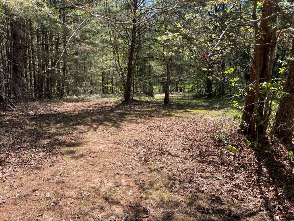 Lot 71A Licklog Ridge, Hayesville NC 28904 - Photo