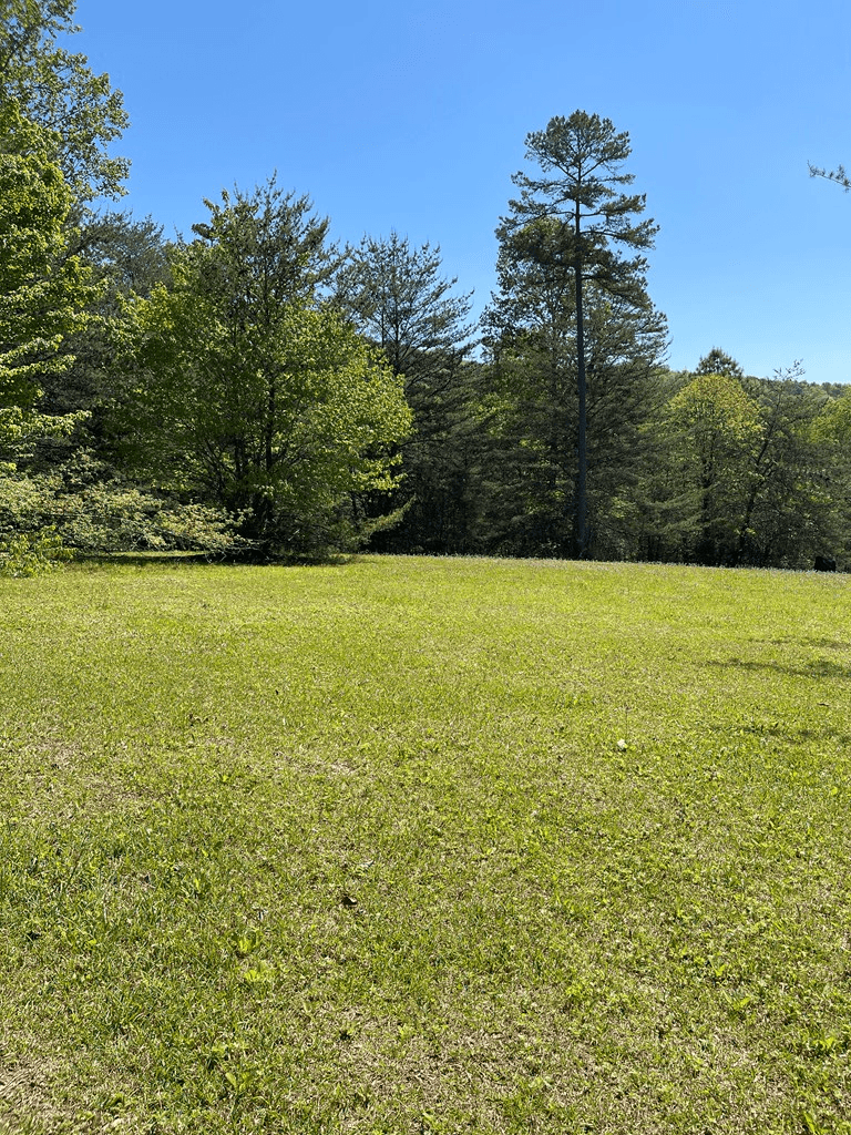 Lot 71A Licklog Ridge, Hayesville NC 28904 - Photo