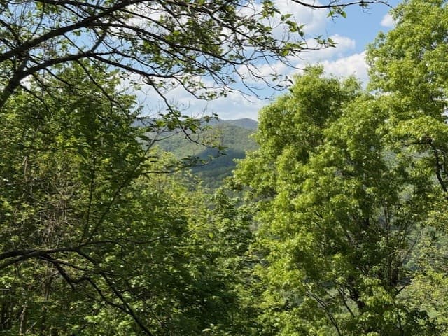 Lot 43 Silo View, Marble NC 28905 - Photo