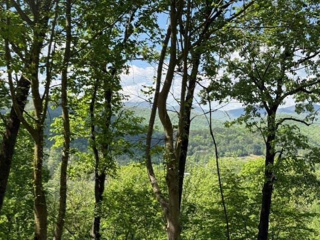 Lot 43 Silo View, Marble NC 28905 - Photo