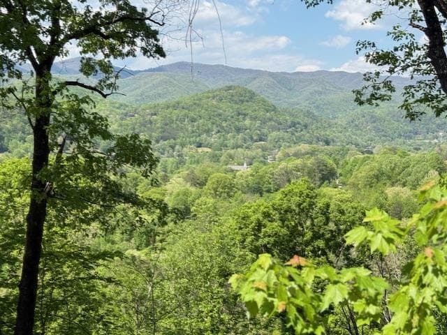 Lot 43 Silo View, Marble NC 28905 - Primary photo