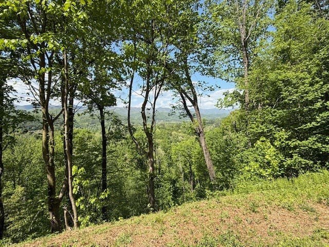 Lot 43 Silo View, Marble NC 28905 - Photo