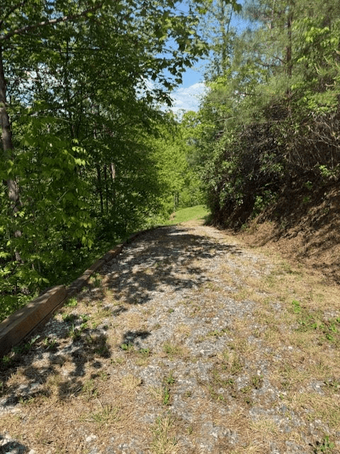 Lot 43 Silo View, Marble NC 28905 - Photo