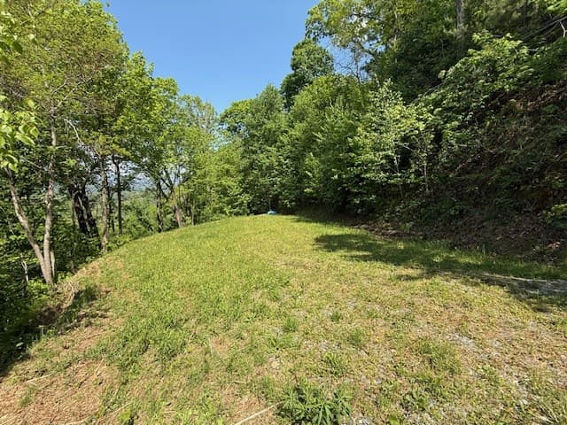 Lot 43 Silo View, Marble NC 28905 - Photo