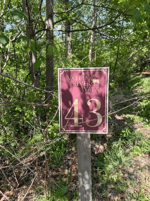 Lot 43 Silo View, Marble NC 28905 - Photo