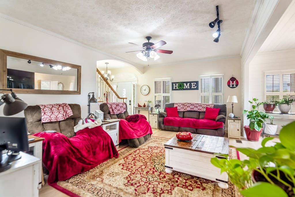 233 Ivy Ridge, Ellijay GA 30536 - Photo