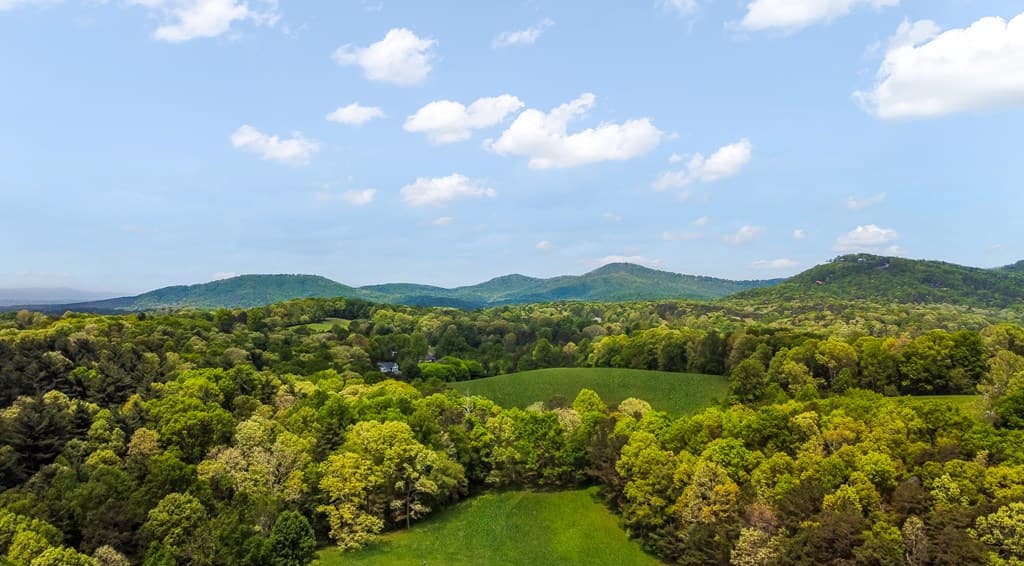233 Ivy Ridge, Ellijay GA 30536 - Photo
