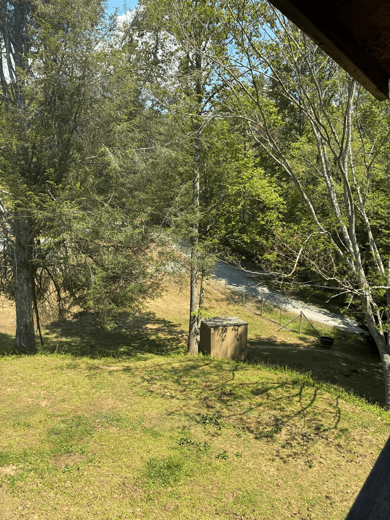 407 Knight Drive, Ellijay GA 30540 - Photo