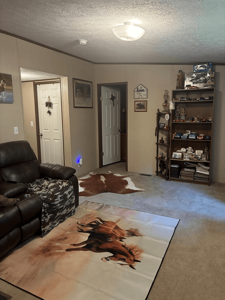 407 Knight Drive, Ellijay GA 30540 - Photo