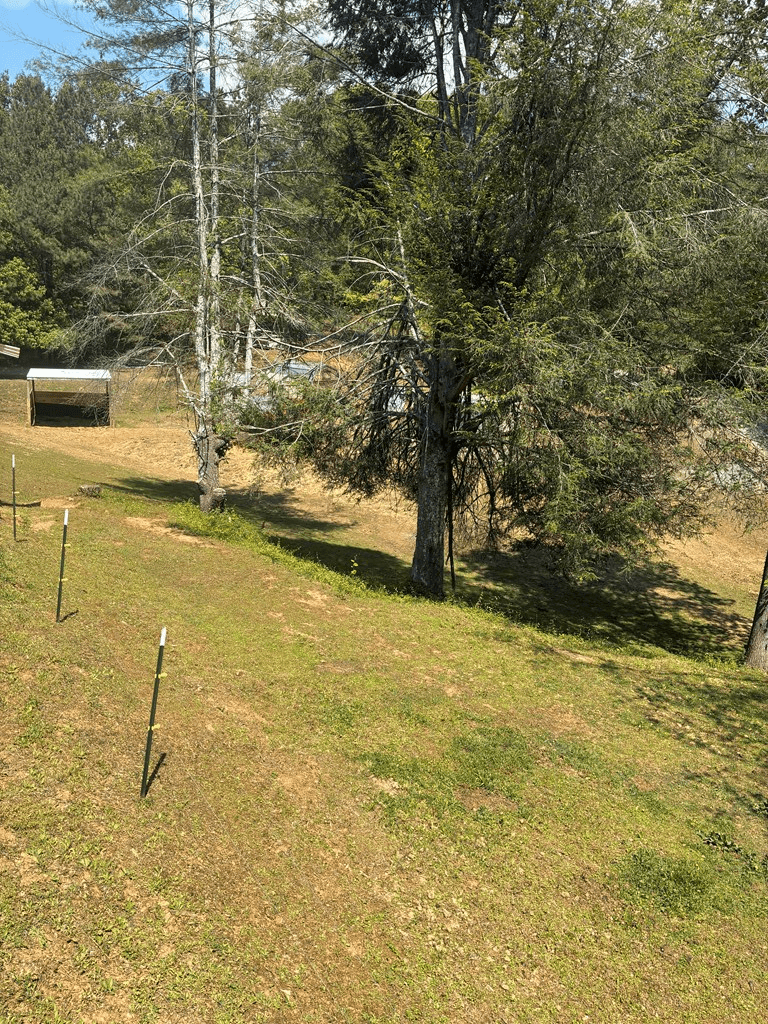 407 Knight Drive, Ellijay GA 30540 - Photo