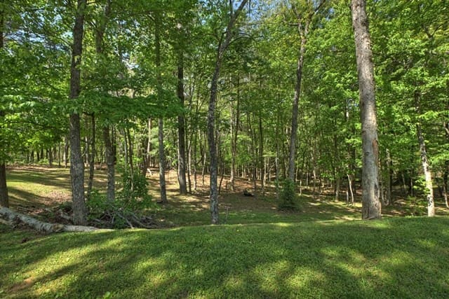 410 Knight Drive, Ellijay GA 30540 - Photo