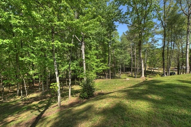 410 Knight Drive, Ellijay GA 30540 - Photo