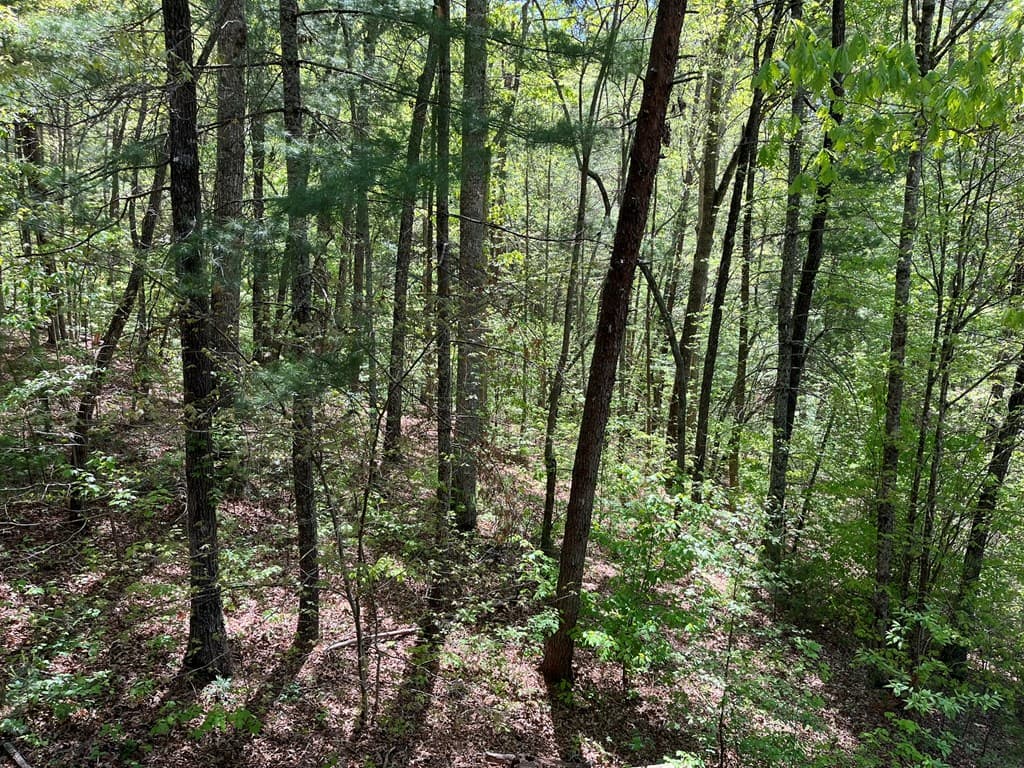 230 Putt Putt Lane, Murphy NC 28906 - Photo
