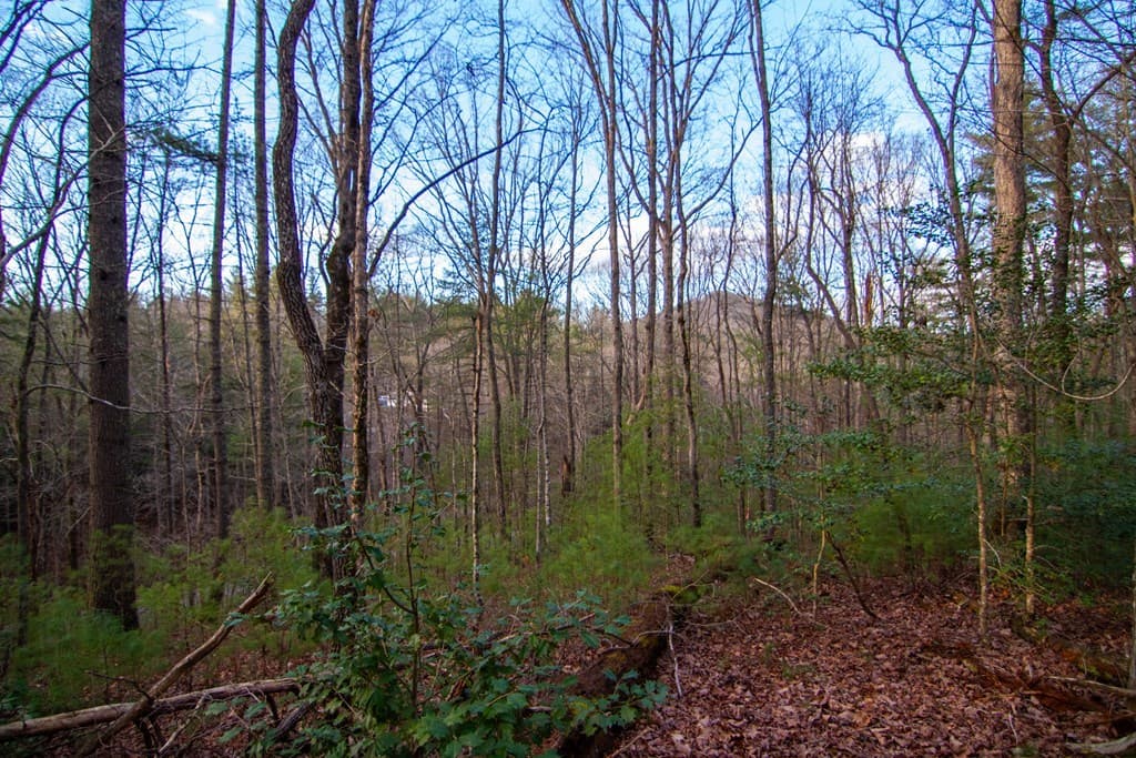 Lot 1 Rock Creek, Cherry Log GA 30522 - Photo