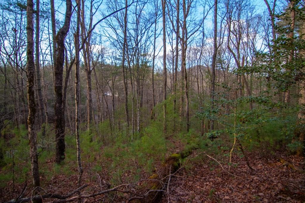 Lot 1 Rock Creek, Cherry Log GA 30522 - Primary photo