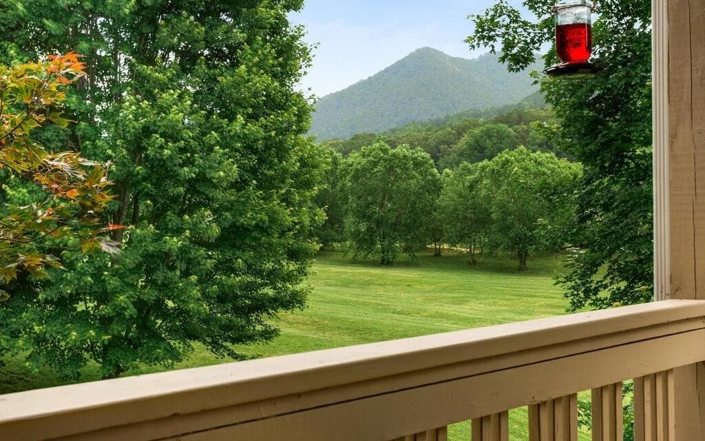 115 Country Club View, Hayesville NC 28904 - Primary photo